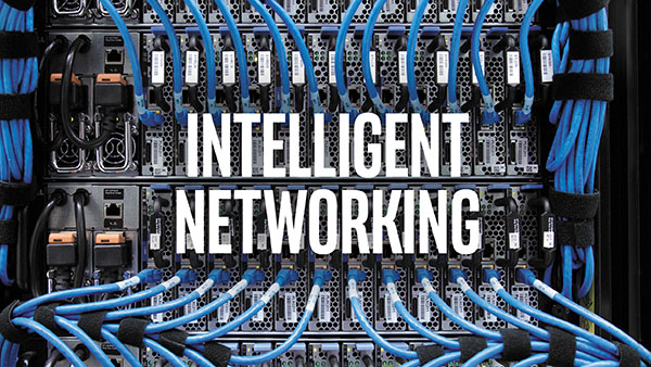 Adopting Software-Defined Networking in the Enterprise